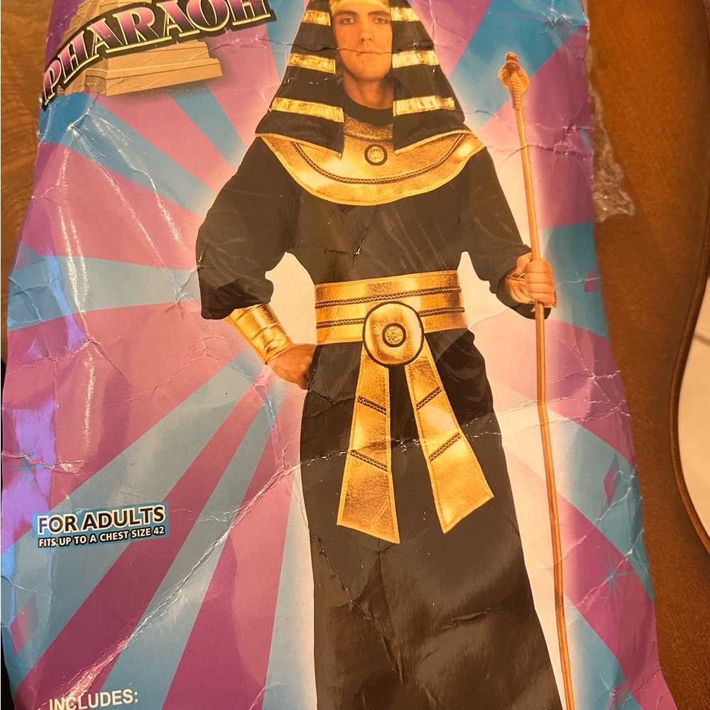 Men's Black and Gold Pharaoh Costume